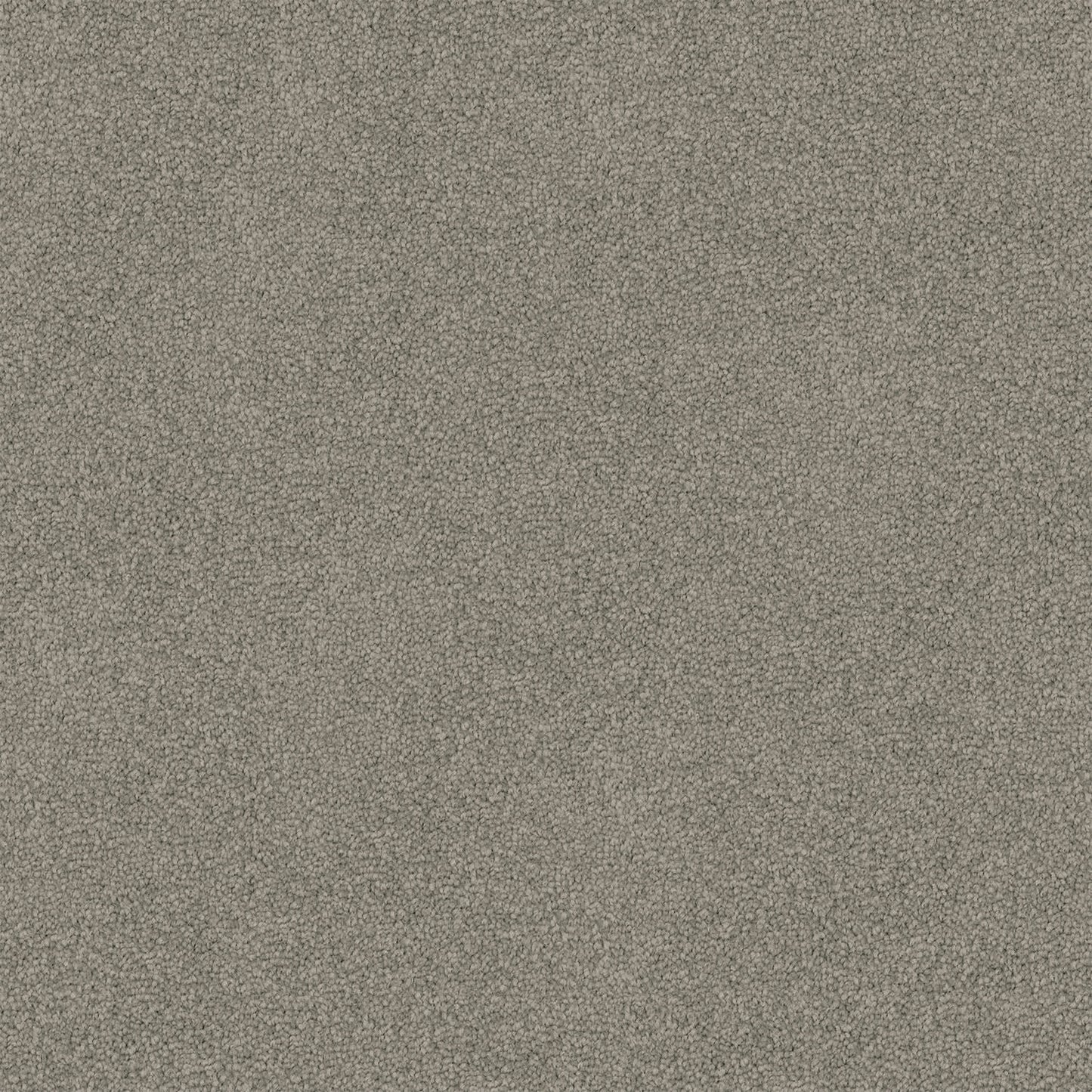 Freedom carpet in Shingle