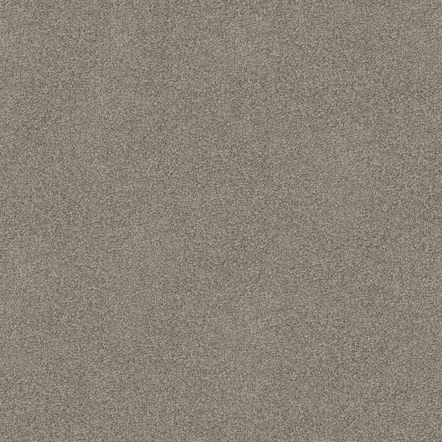 Freedom carpet in Shingle