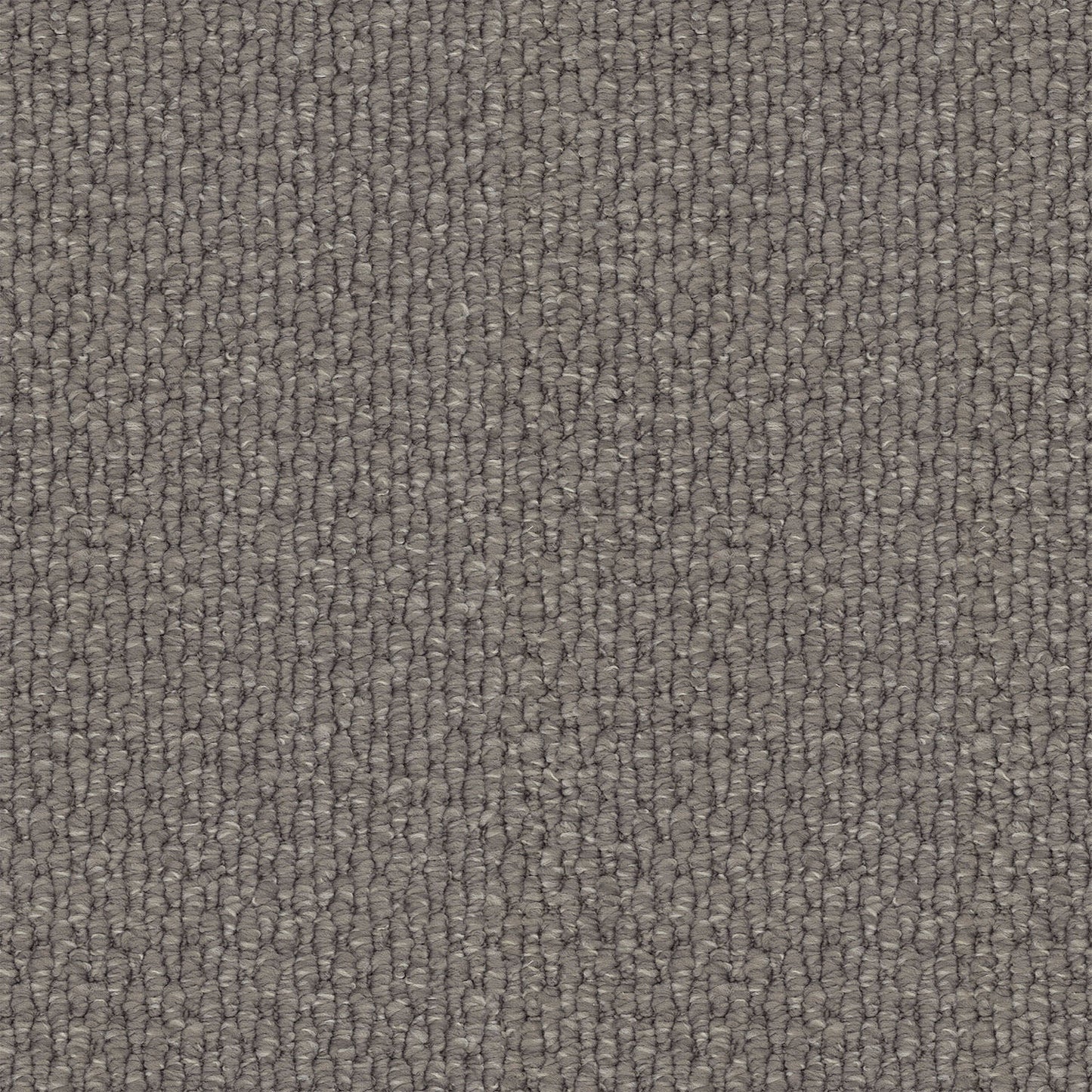 Central Valley carpet in Potters Clay