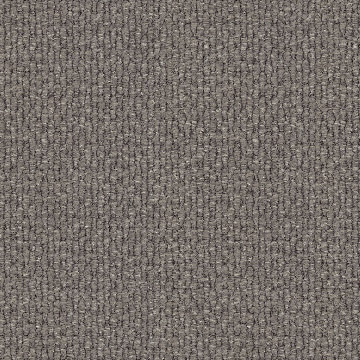 Central Valley carpet in Potters Clay