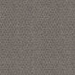 Central Valley carpet in Potters Clay