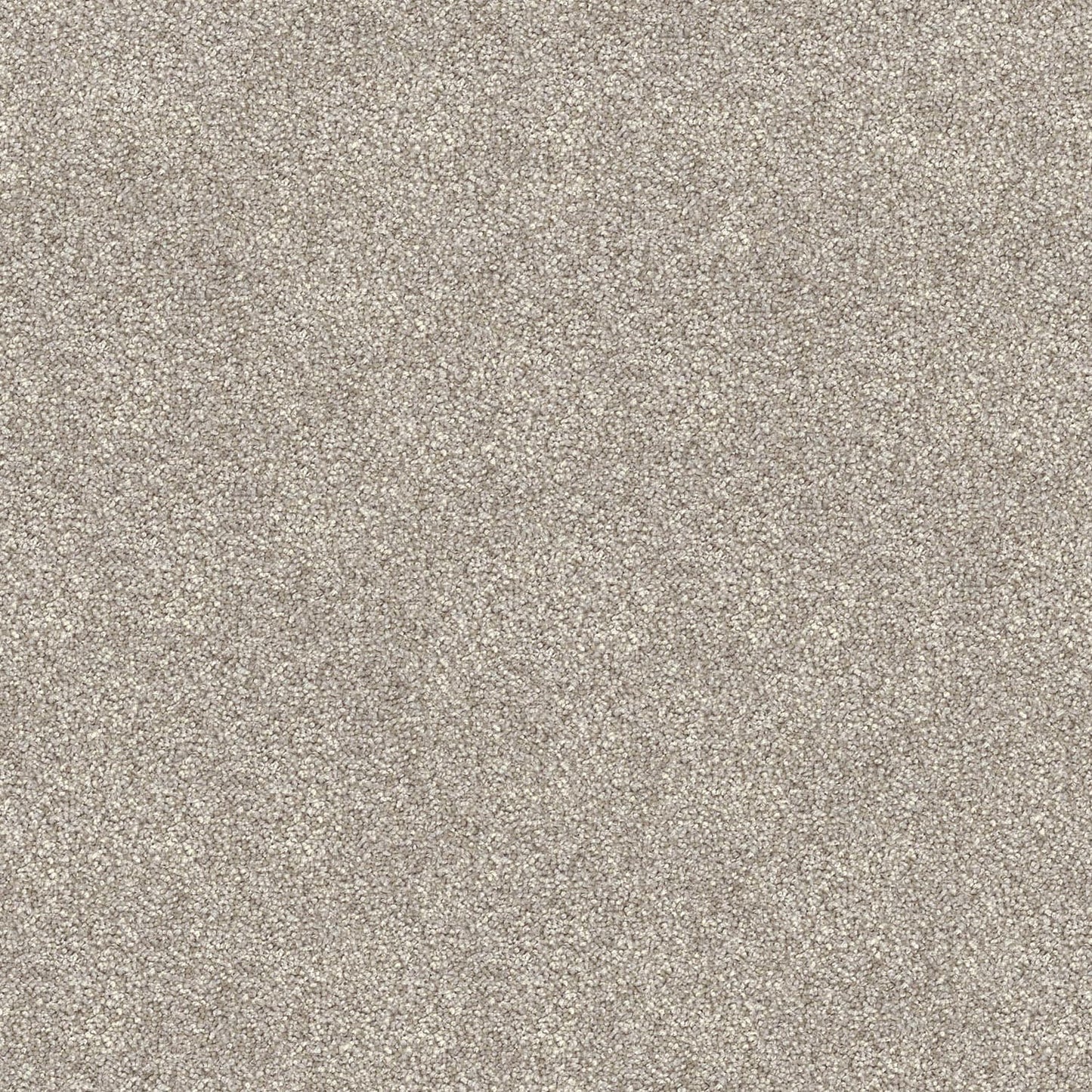 Domain Rise carpet in Grey Hazel