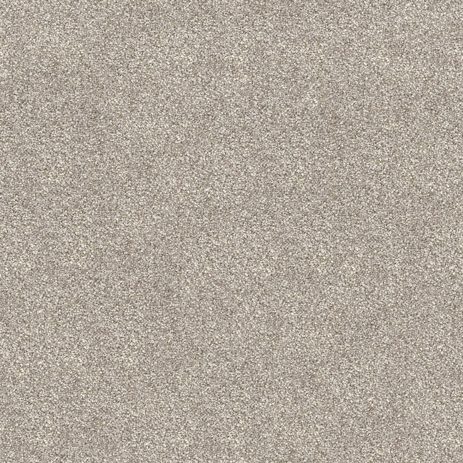 Domain Rise carpet in Grey Hazel