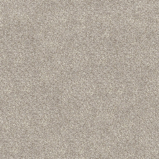 Domain Rise carpet in Grey Hazel