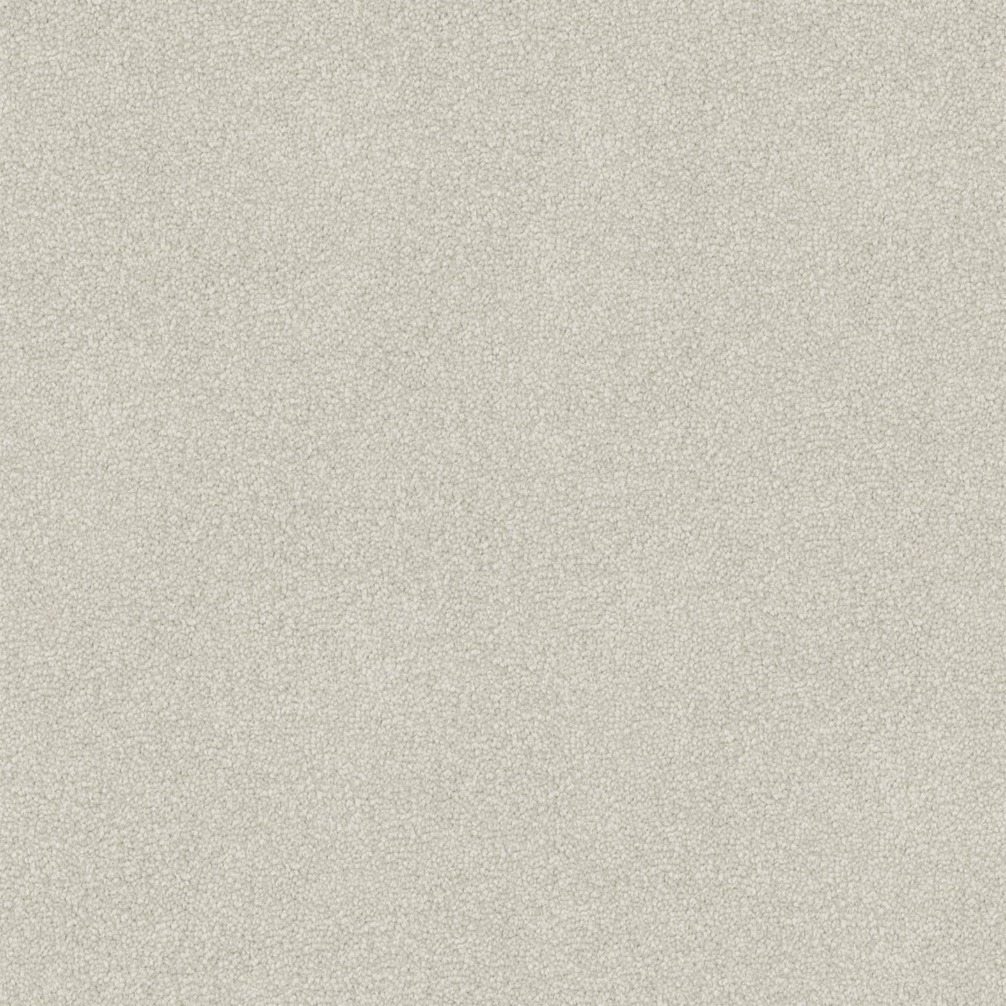 Entertaining carpet in Linen