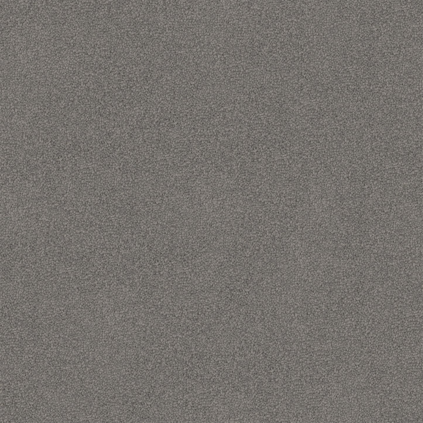 Dawn Rise carpet in Dark Mineral
