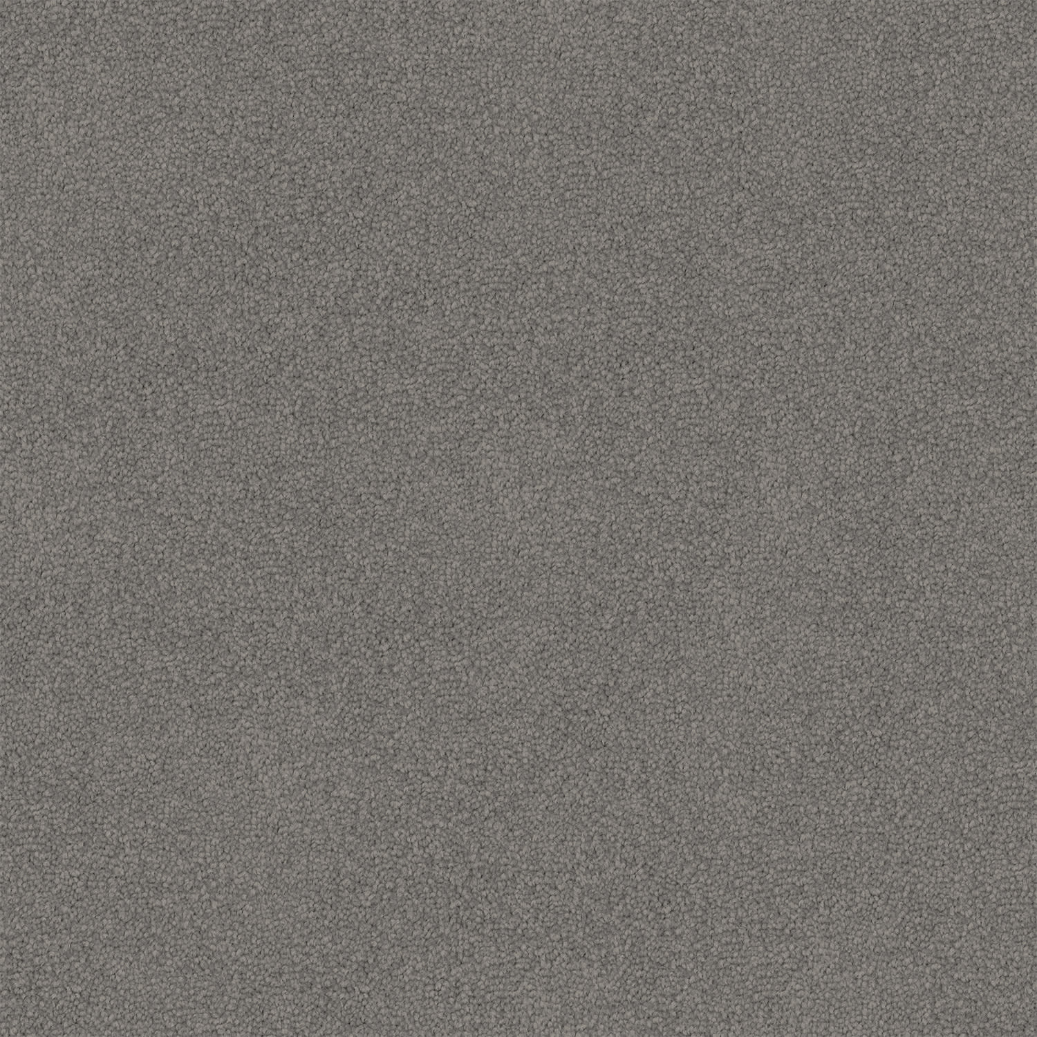 Dawn Rise carpet in Dark Mineral