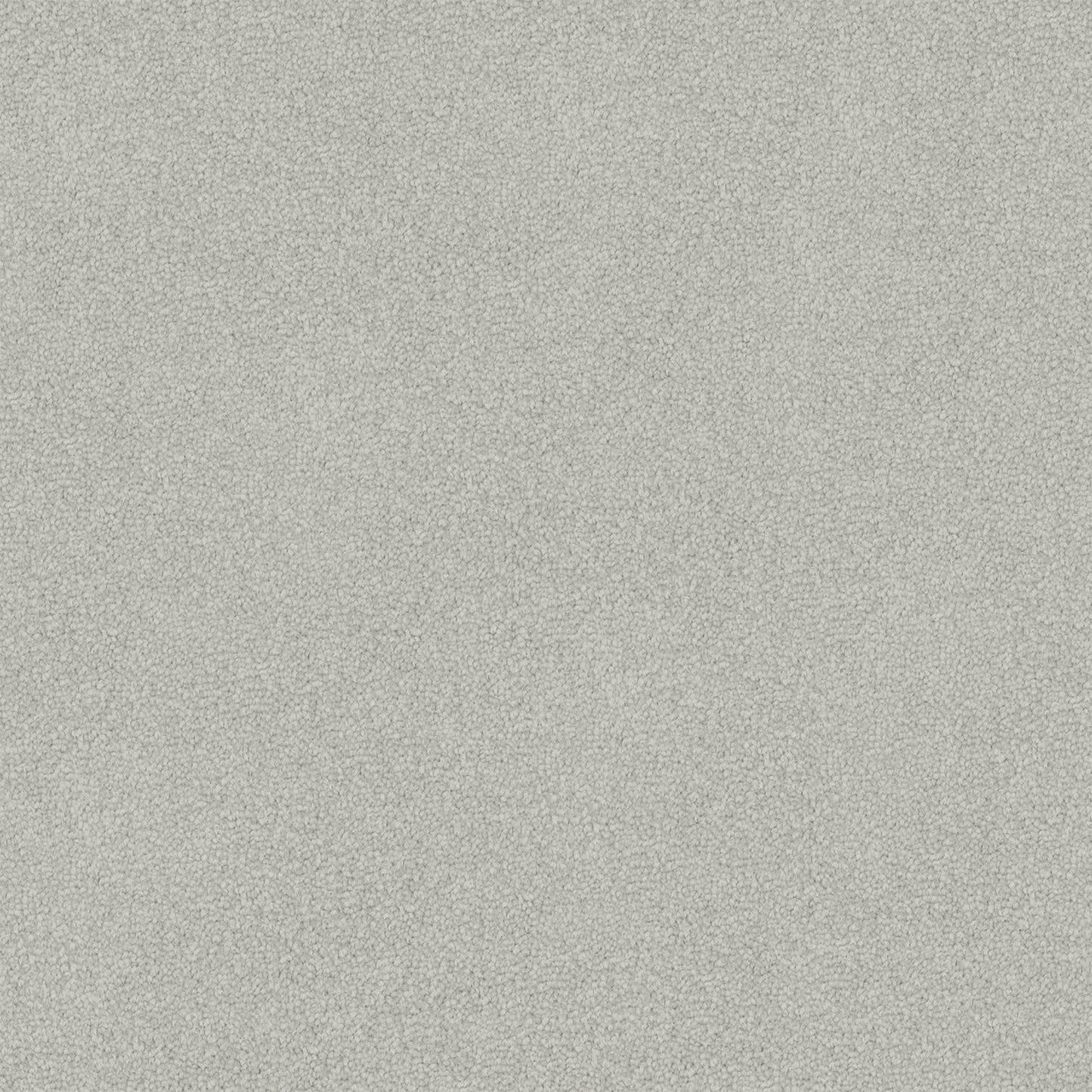 Nightfall carpet in Crystalite