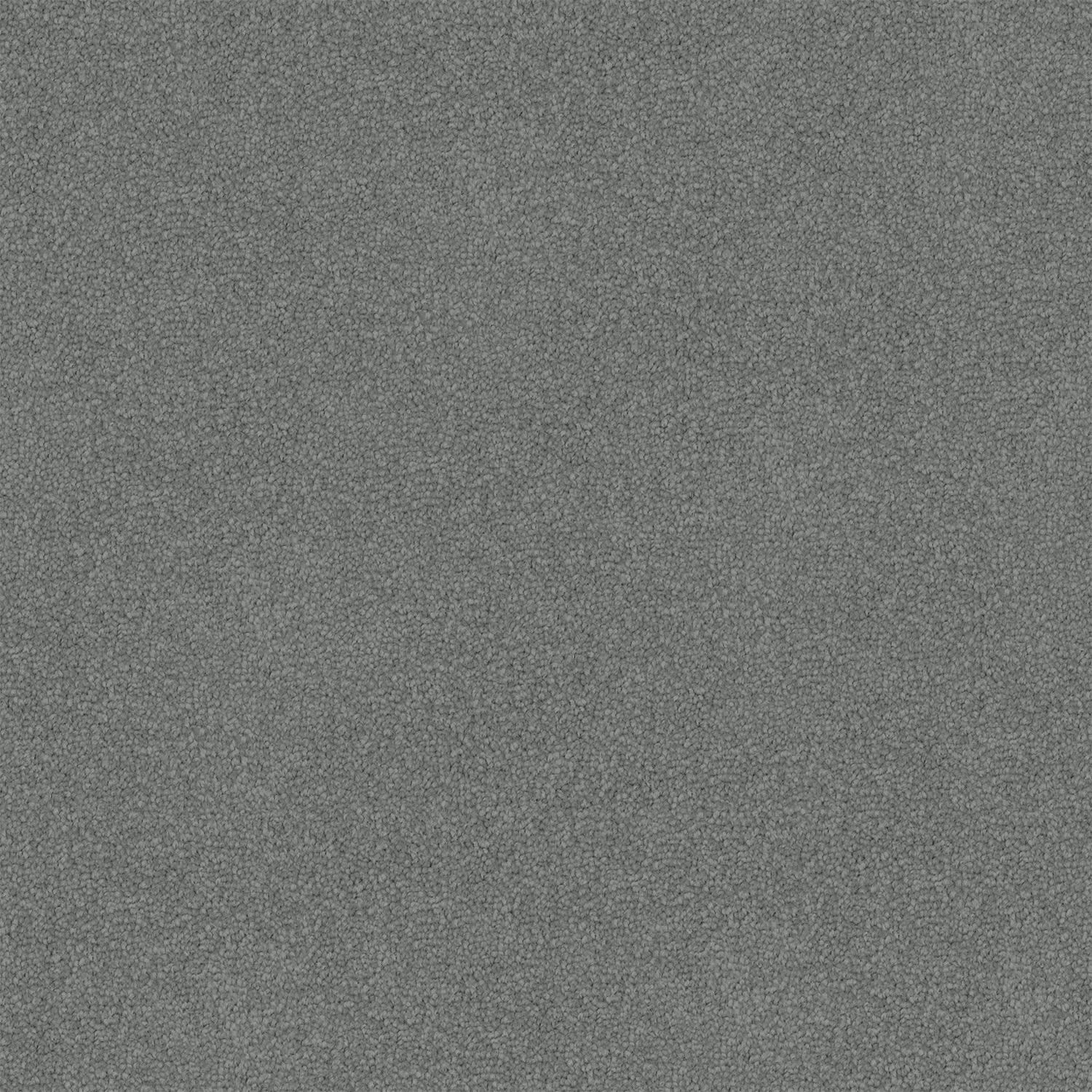 Nightfall carpet in Urban Grey