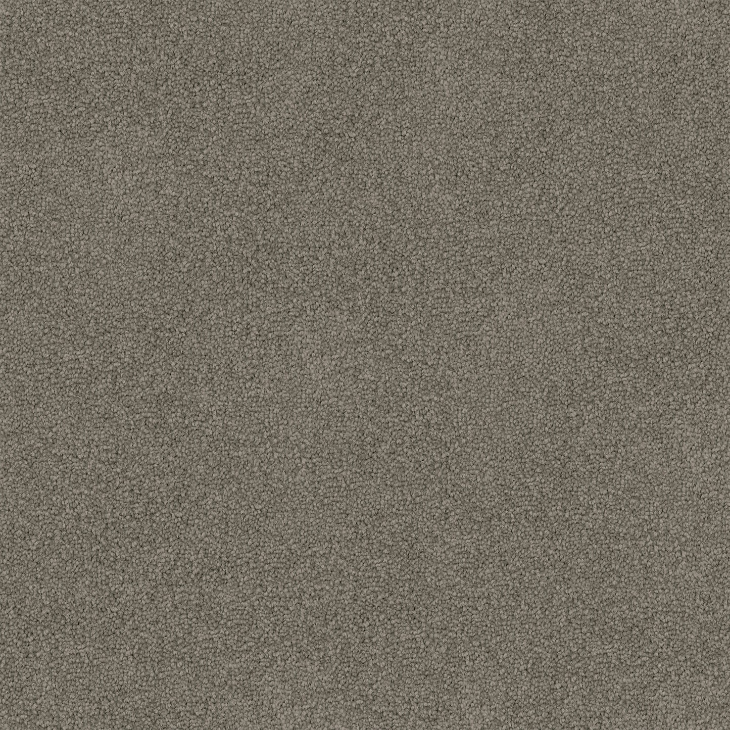 Freedom carpet in Whale