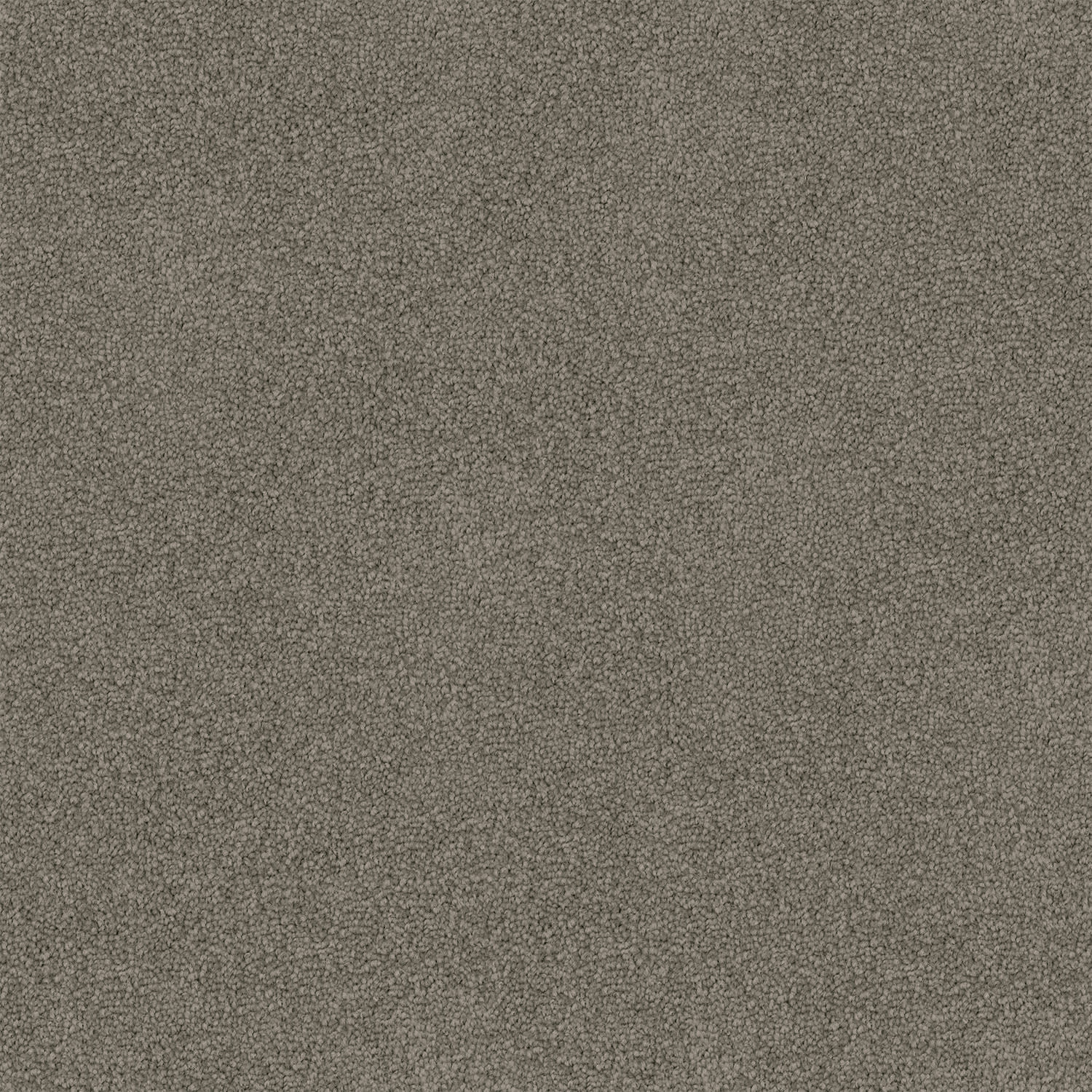 Freedom carpet in Whale