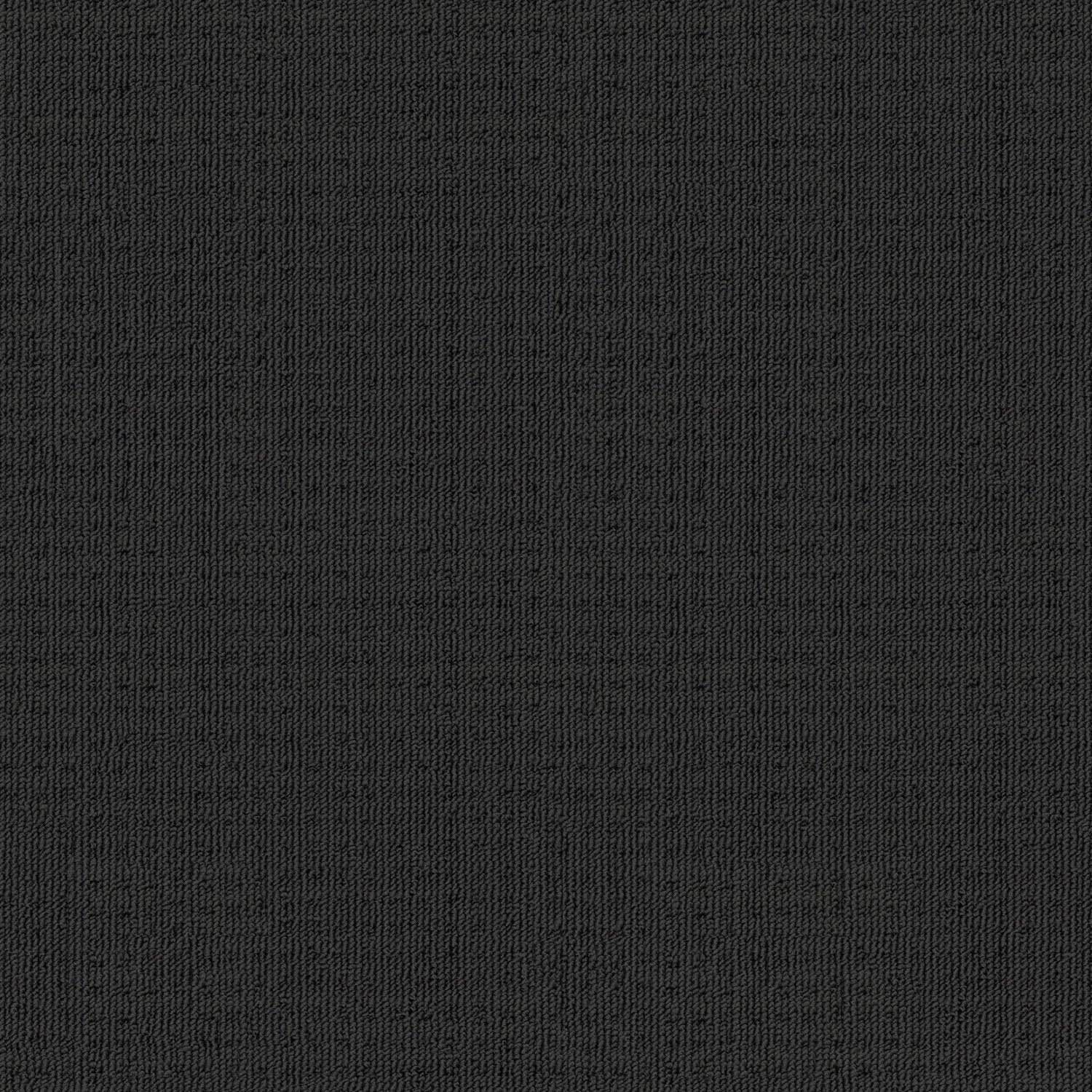 Genesis carpet in Caldera