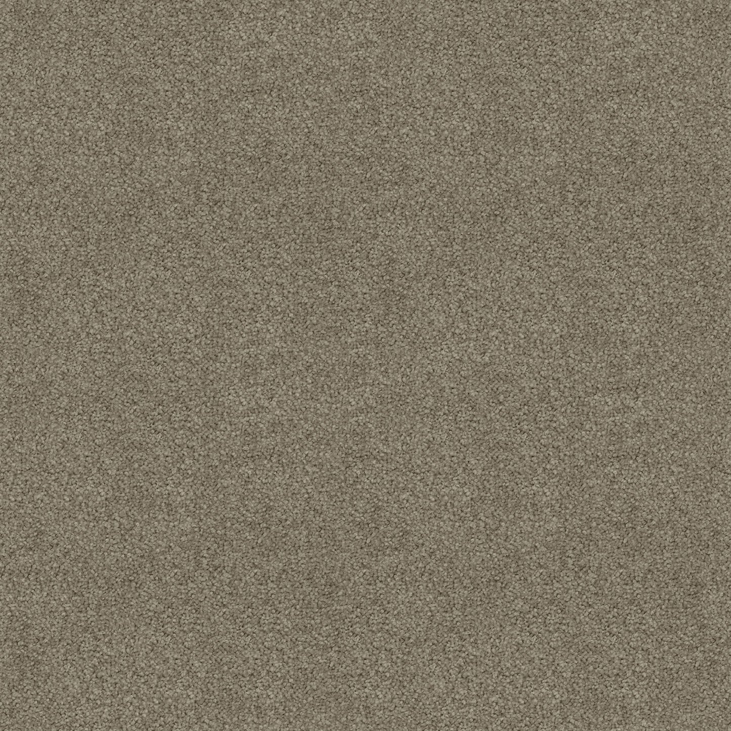 Silk Cloud carpet in Acorn