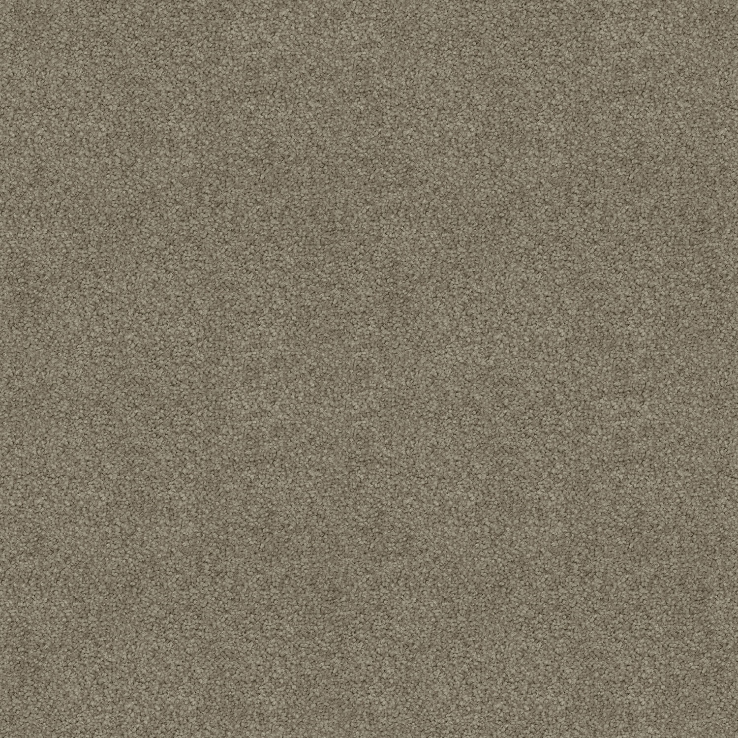 Silk Cloud carpet in Acorn