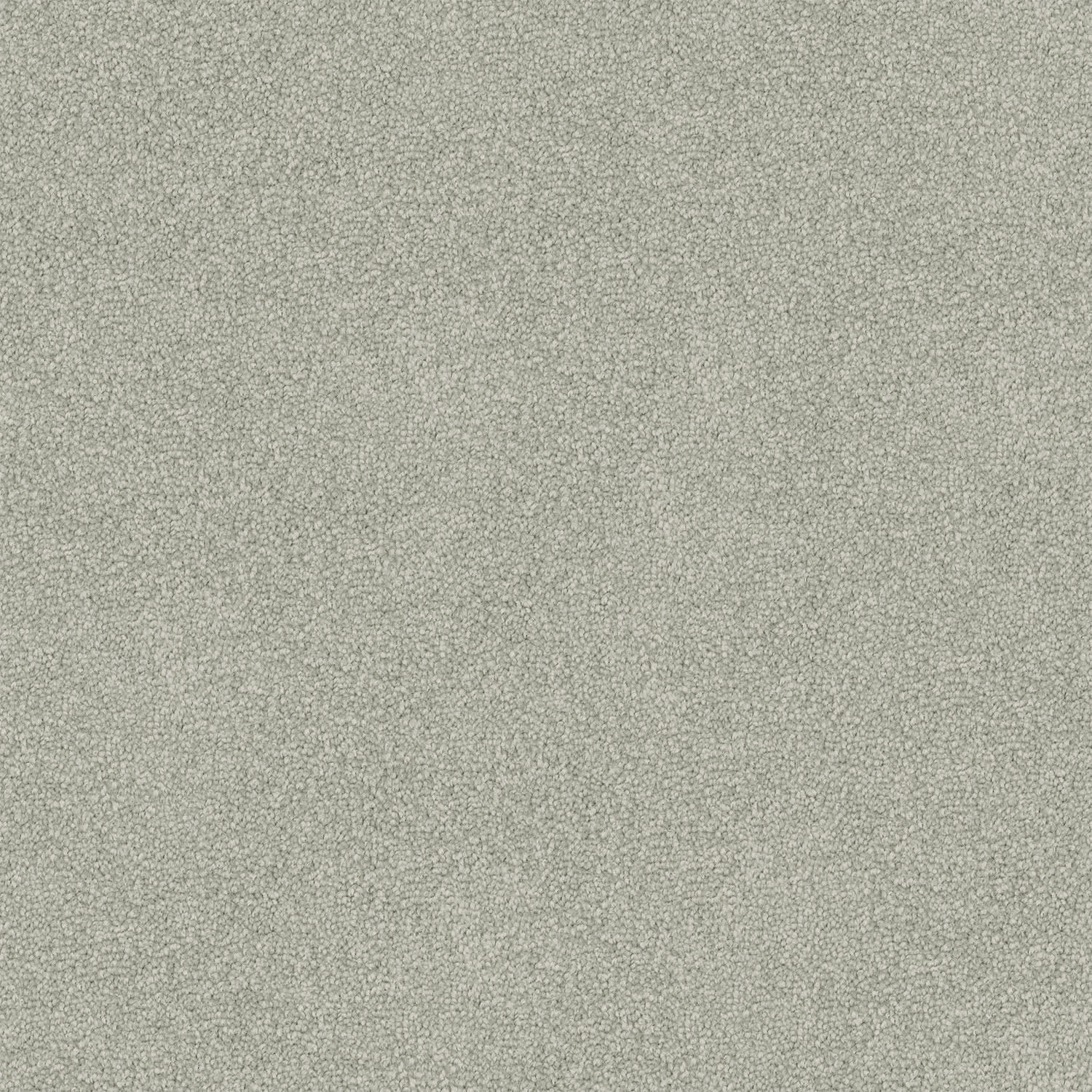 Freedom carpet in Oyster Shell