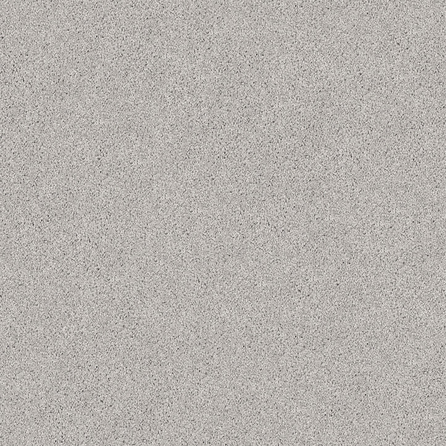 Regal Elegance carpet in Silver Cloud