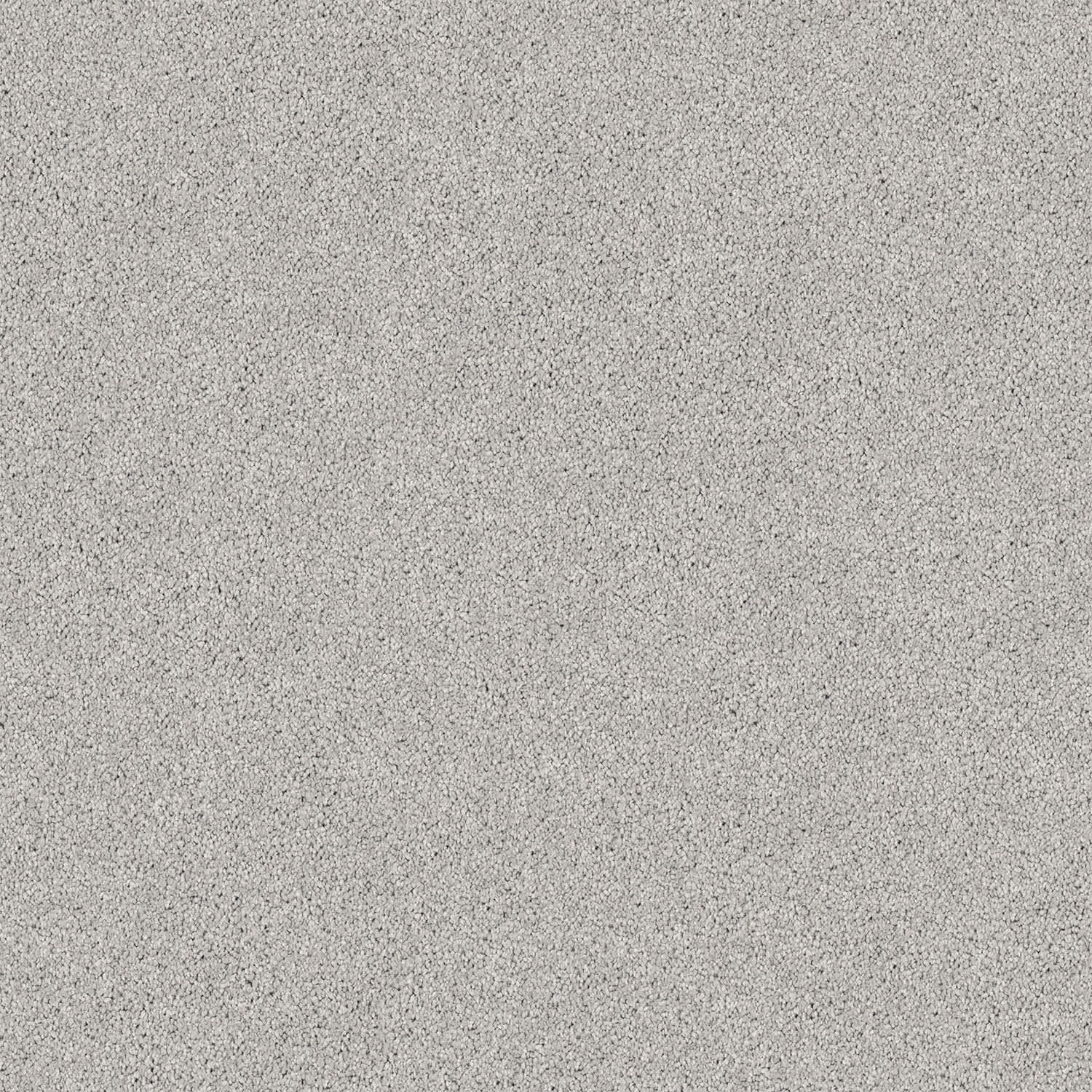 Regal Elegance carpet in Silver Cloud