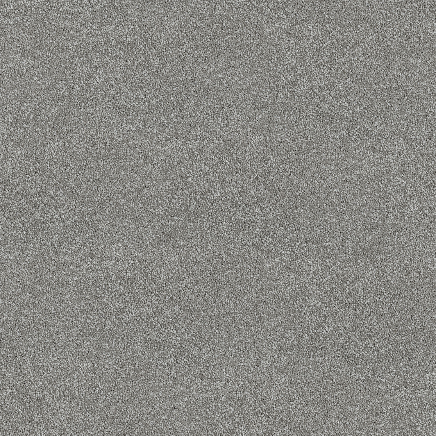Coonawarra carpet in Dolphin