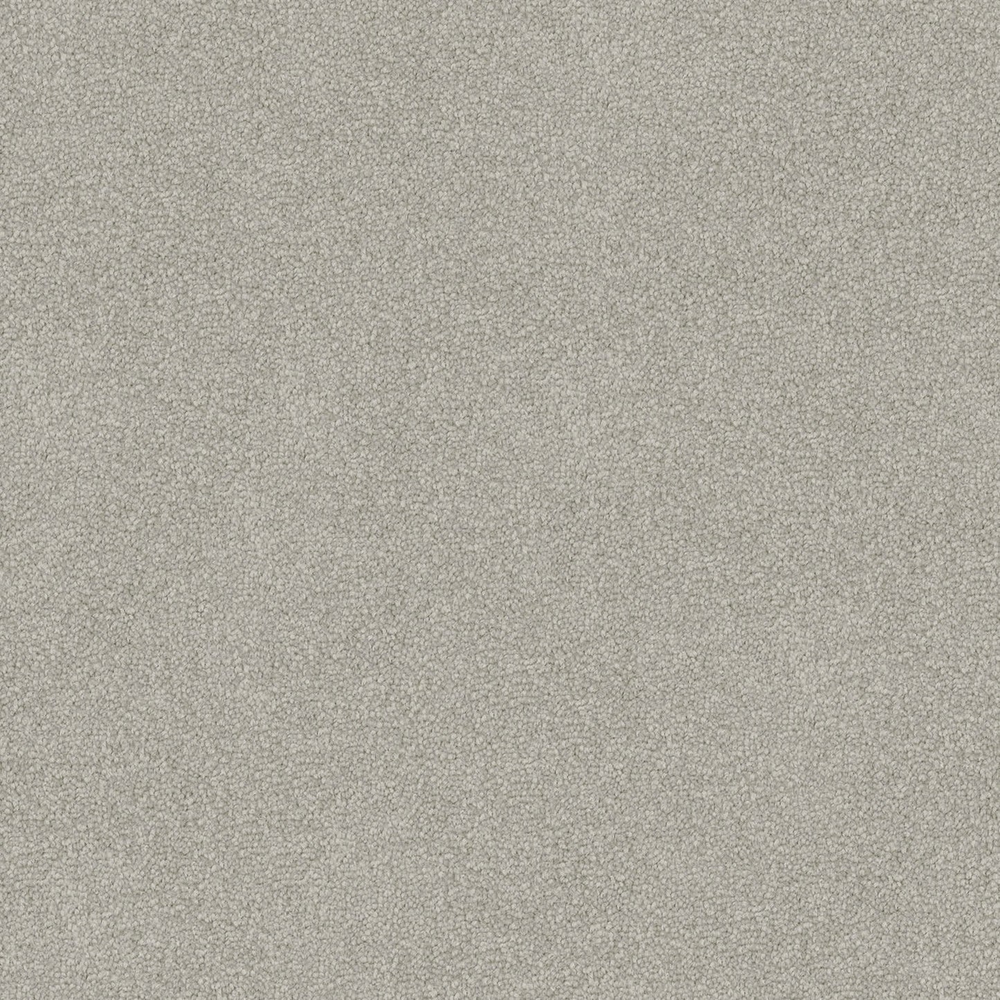 Infatuation carpet in Crystal Grey