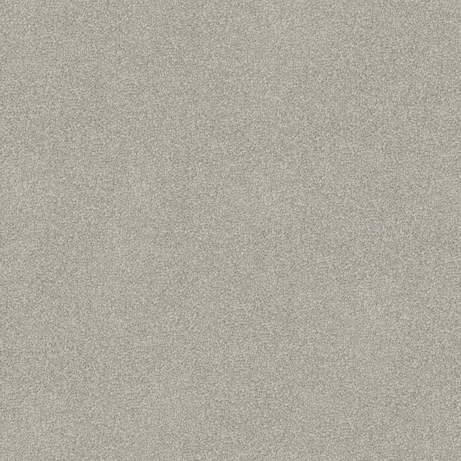 Infatuation carpet in Crystal Grey