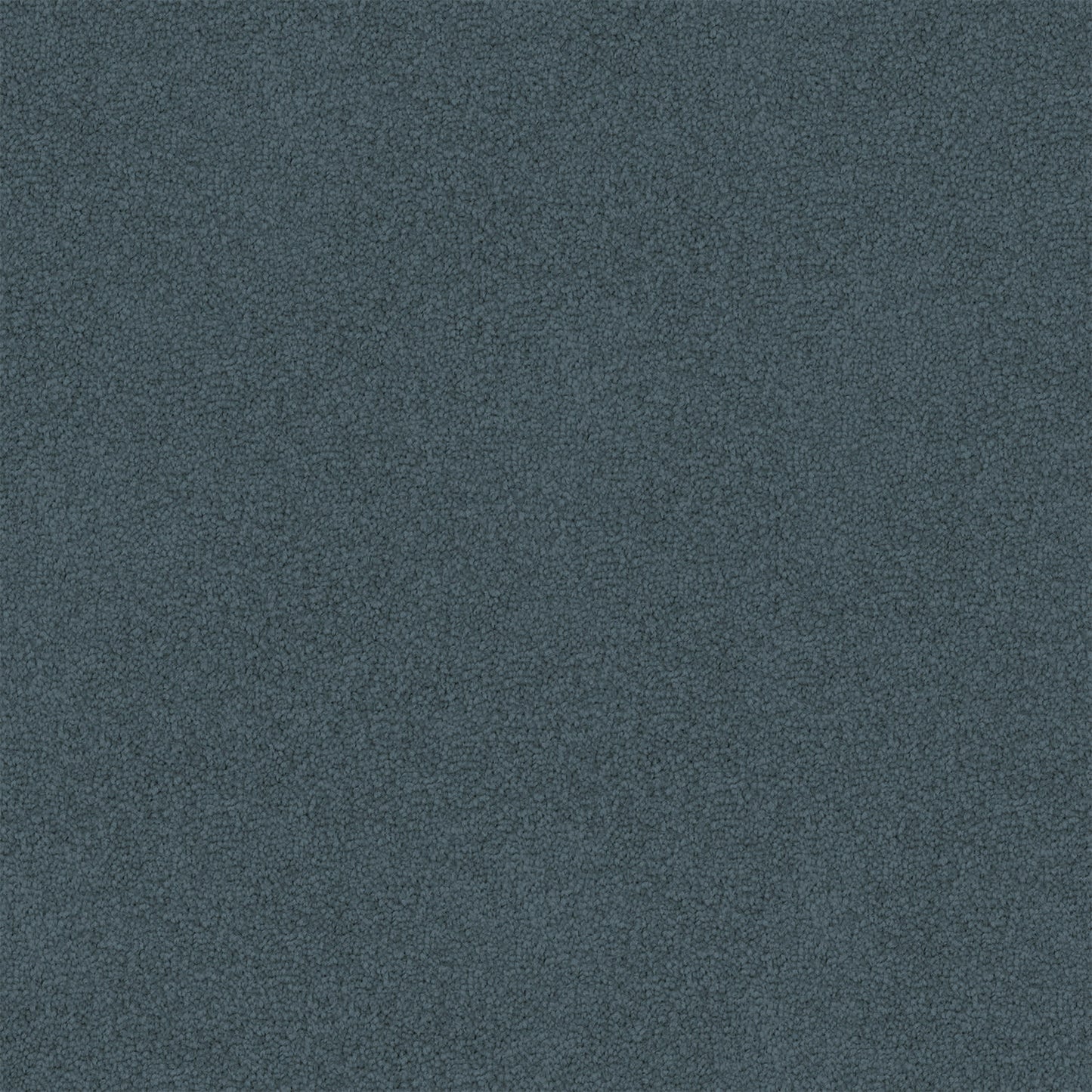 Infatuation carpet in Wild Wind