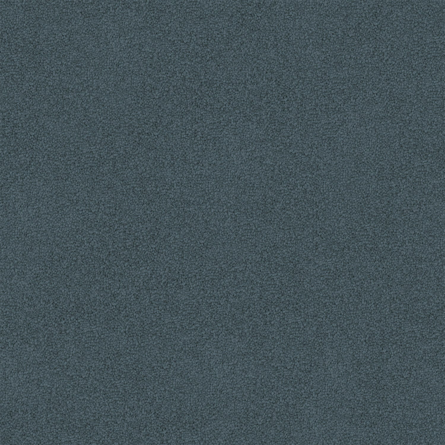 Infatuation carpet in Wild Wind