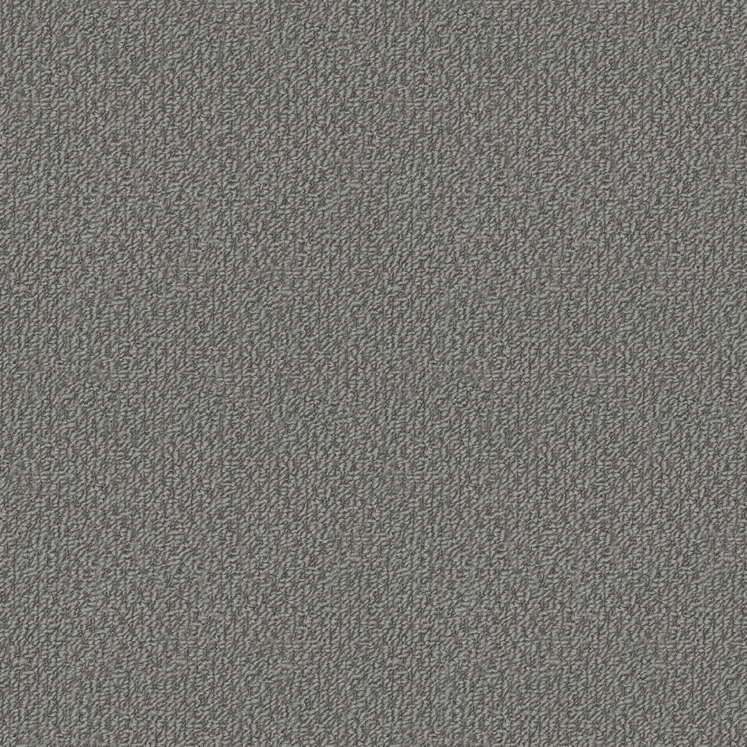 Phoenix carpet in Rio Vista