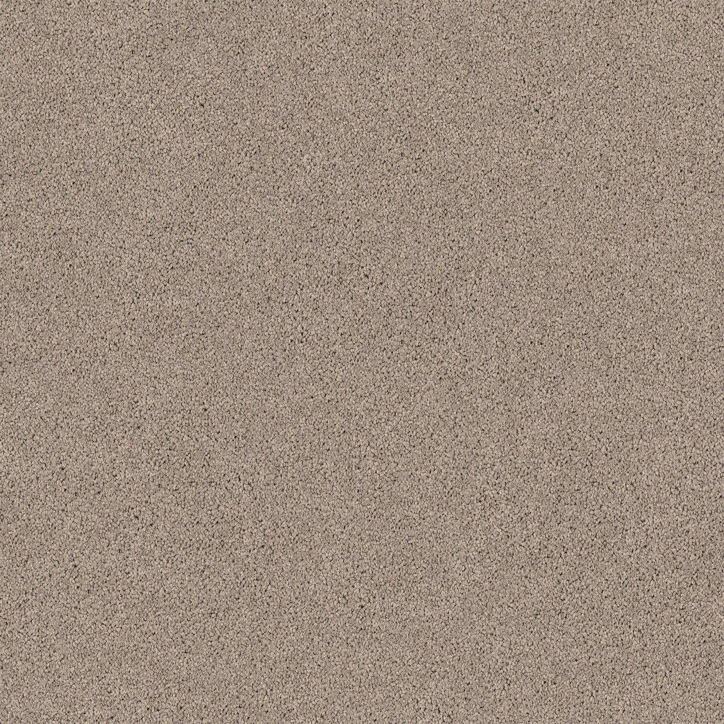 Gentle Essence carpet in Fawn