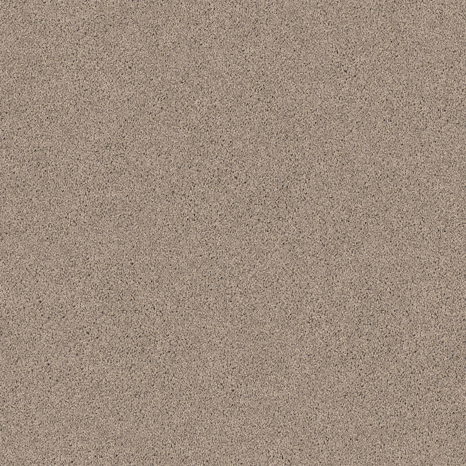 Gentle Essence carpet in Fawn