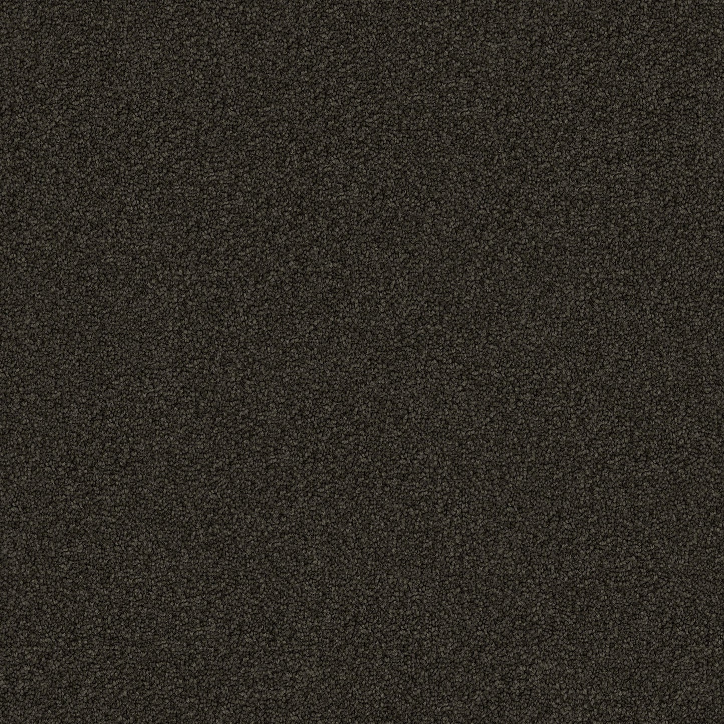 Domain Rise carpet in Iron Gate