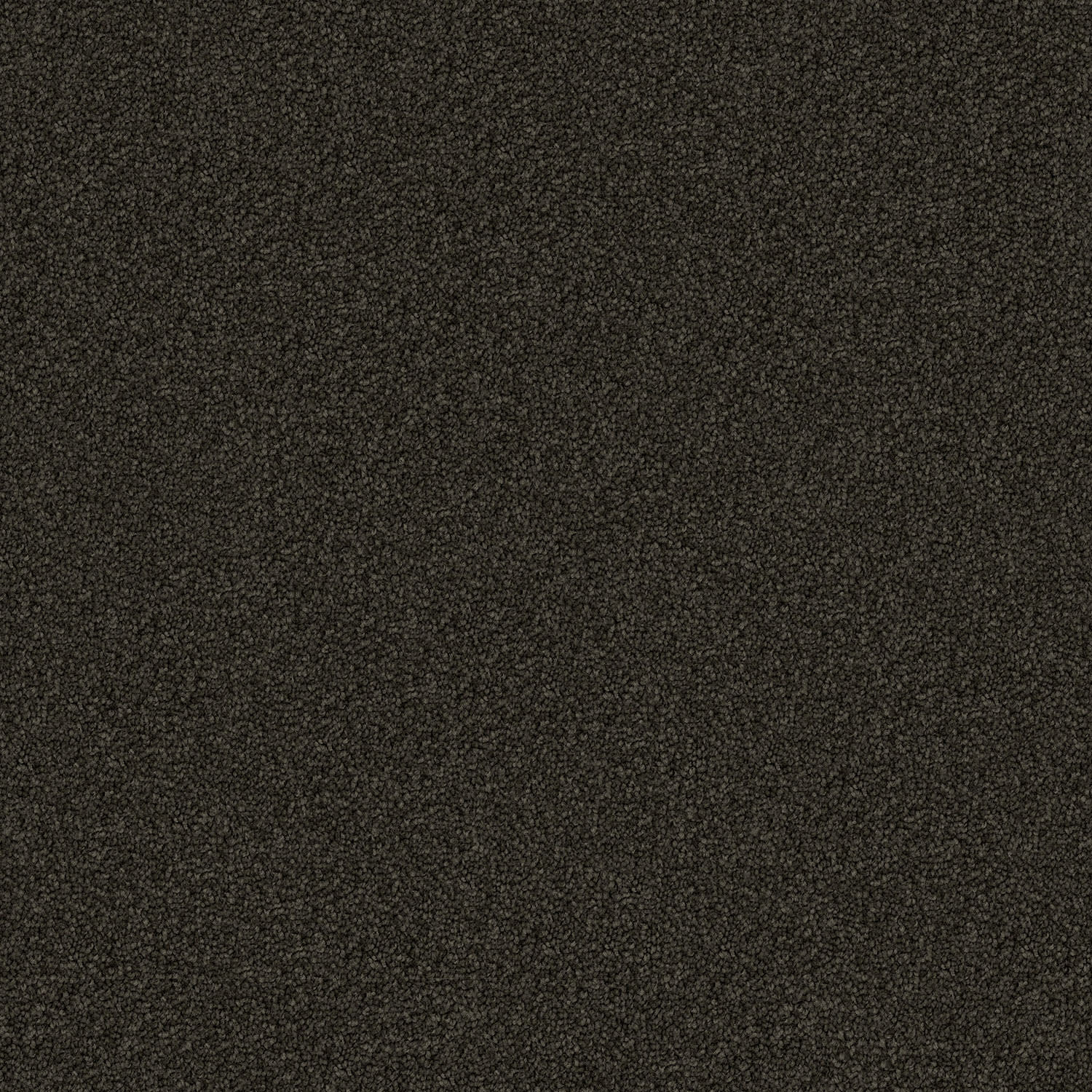 Domain Rise carpet in Iron Gate