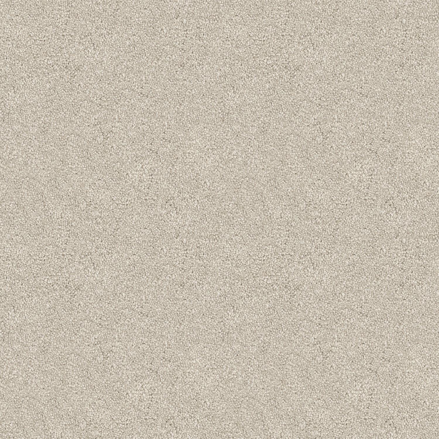 Velura carpet in Natural Linen
