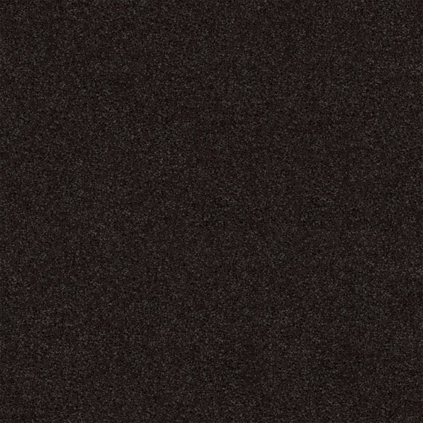 Revive carpet in Slate