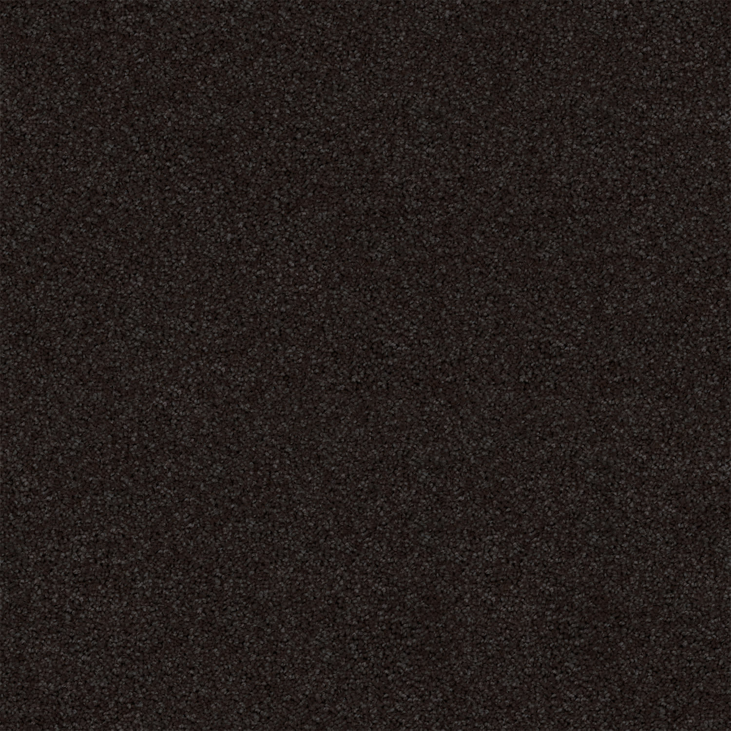 Revive carpet in Slate