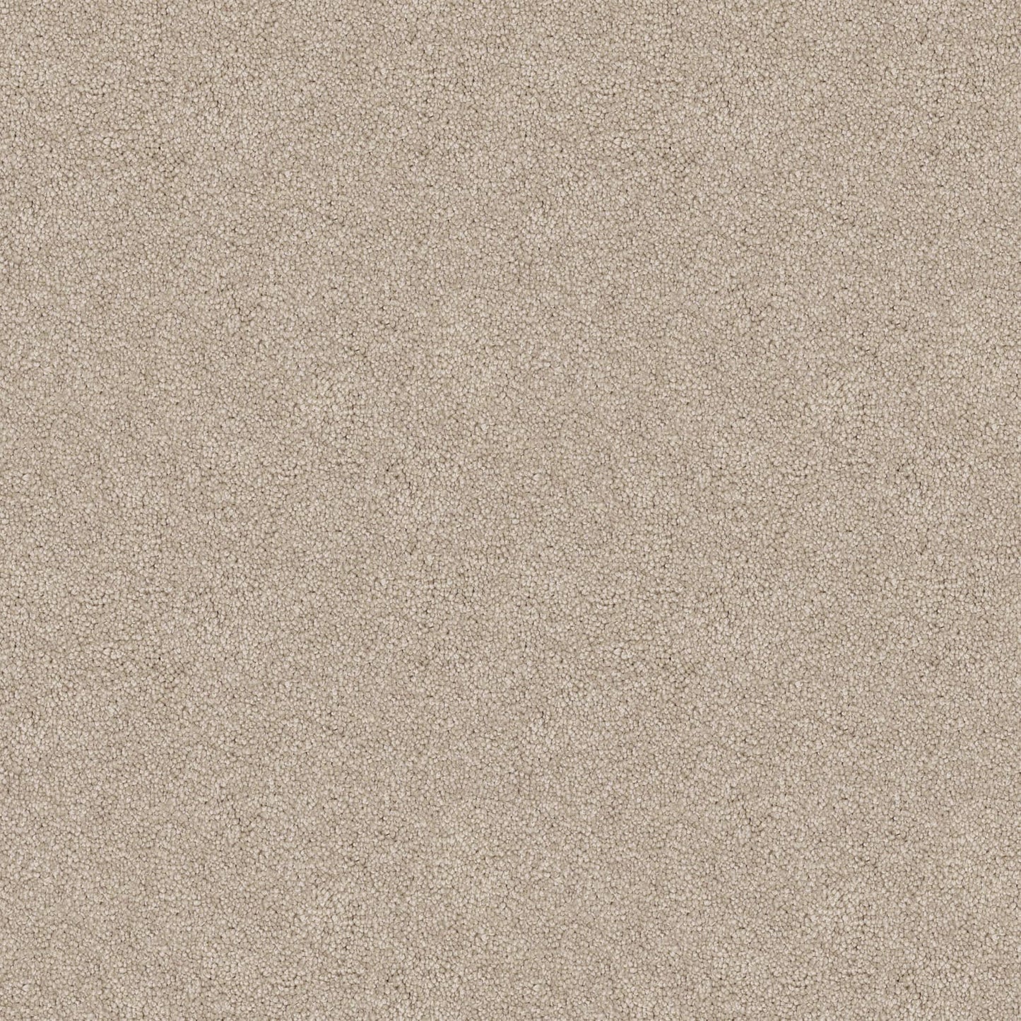 Velura carpet in Sun Ray