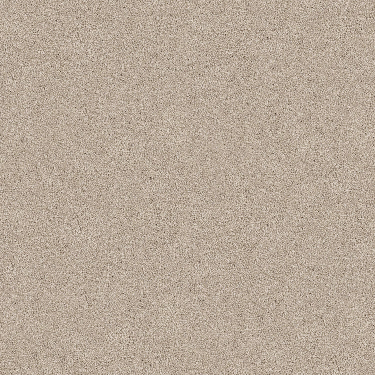 Velura carpet in Sun Ray