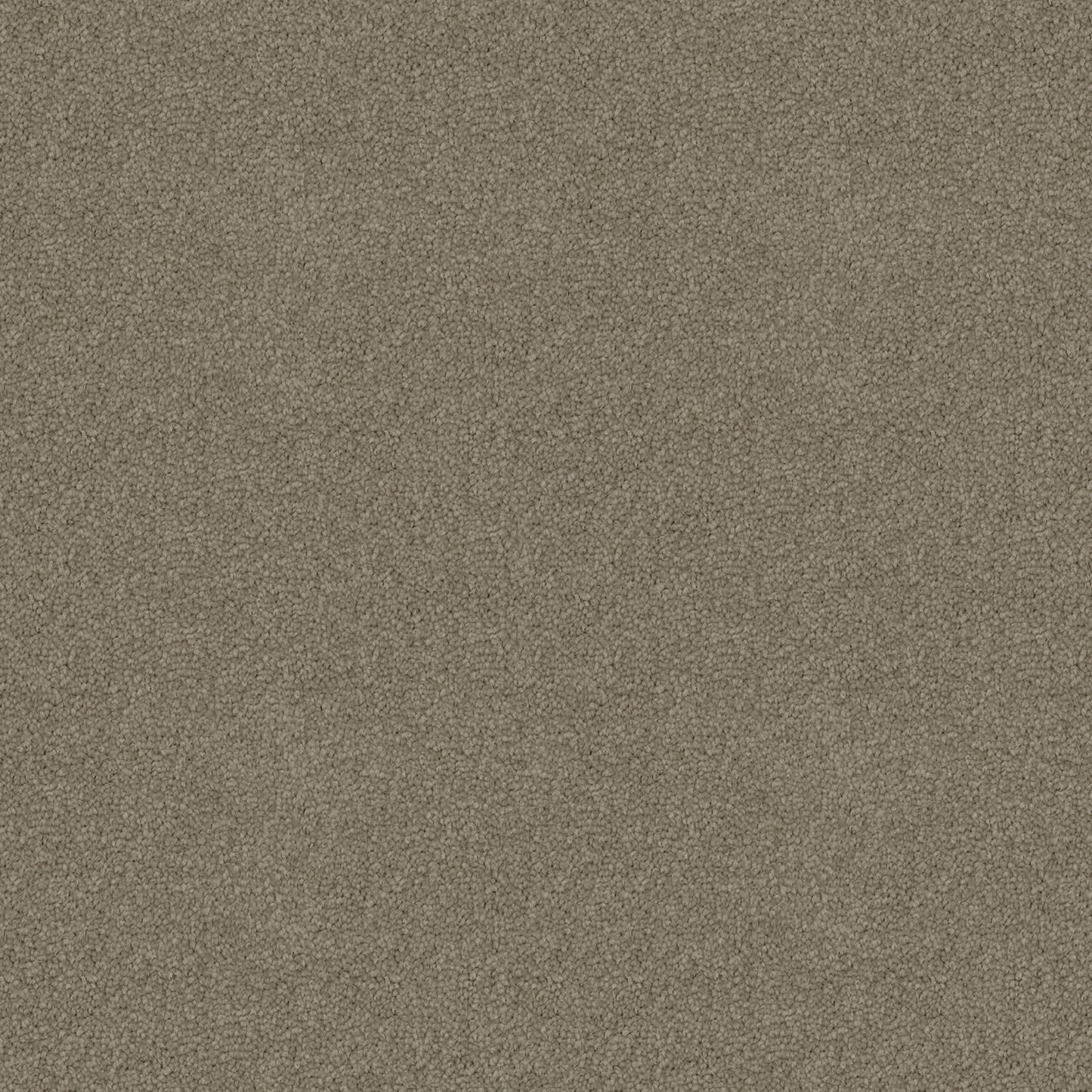 Skyway carpet in Oak Bark