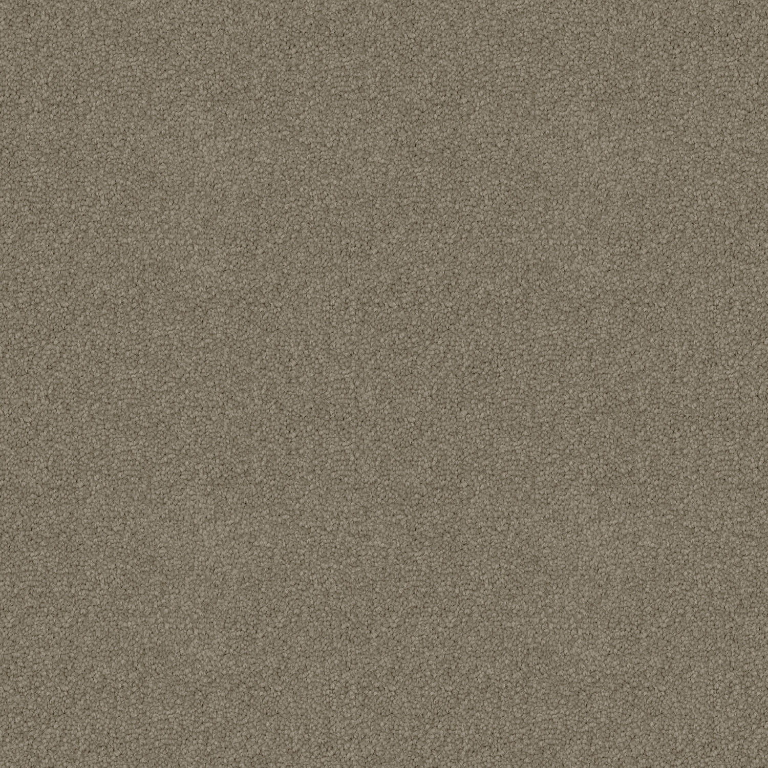 Skyway carpet in Oak Bark