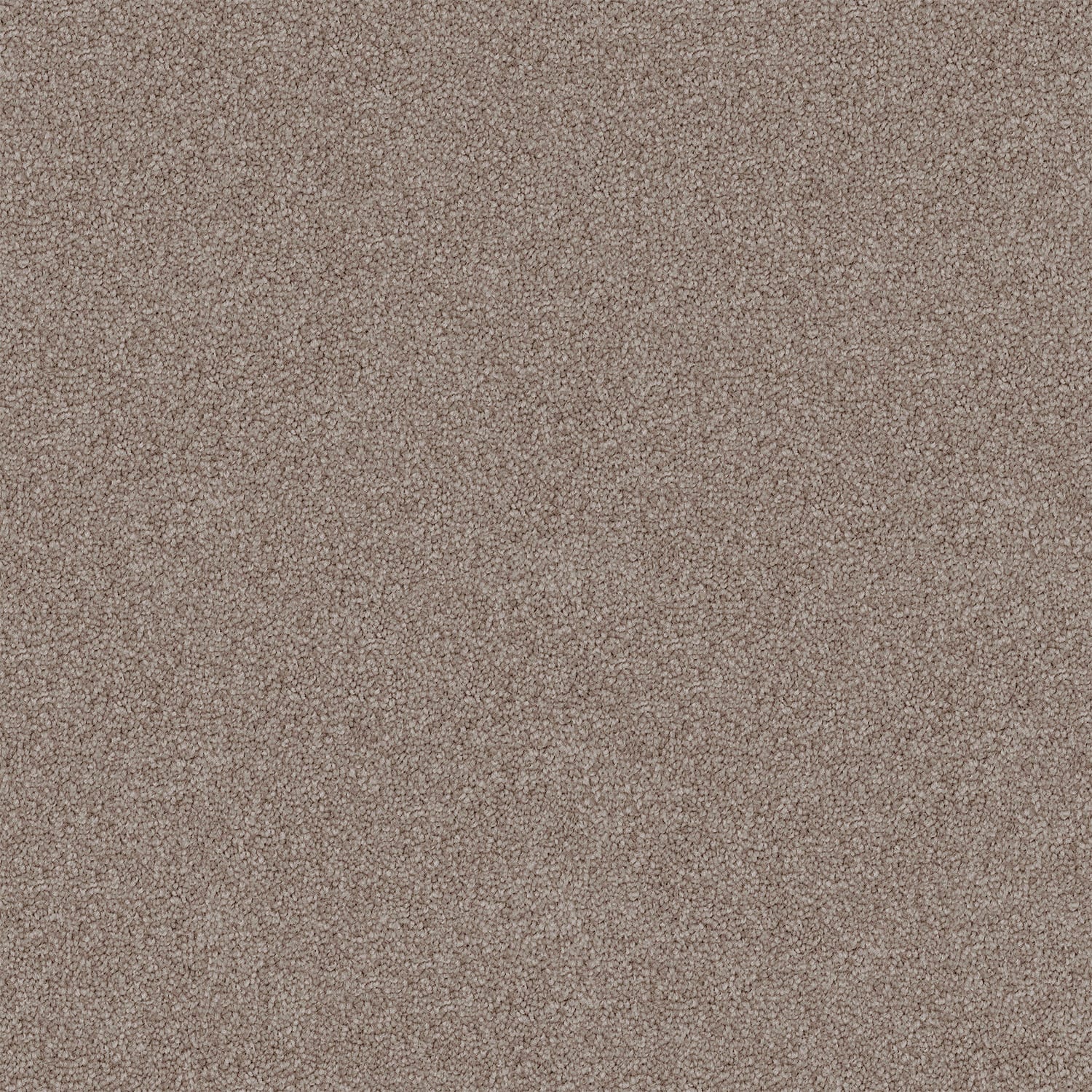 Endless Charm carpet in Soft Suede
