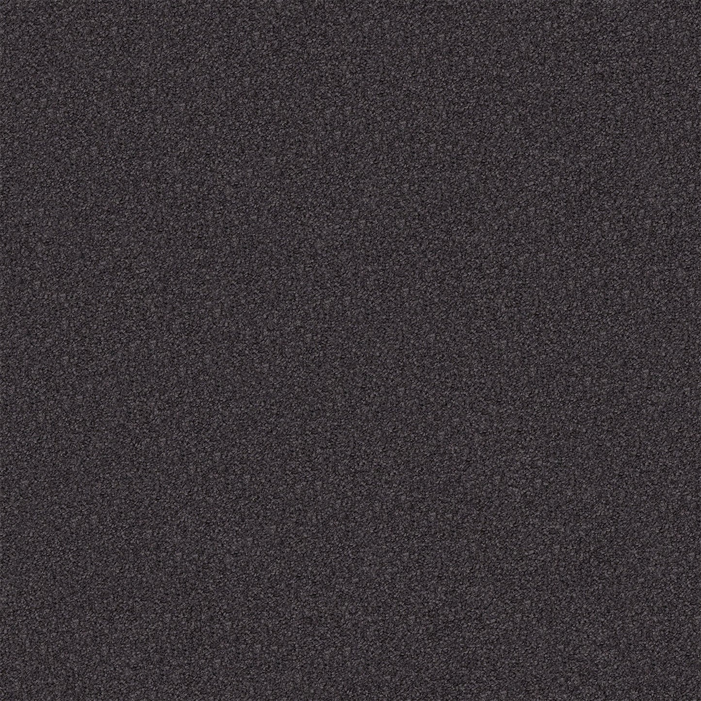 Regal Elegance carpet in Dark Canyon