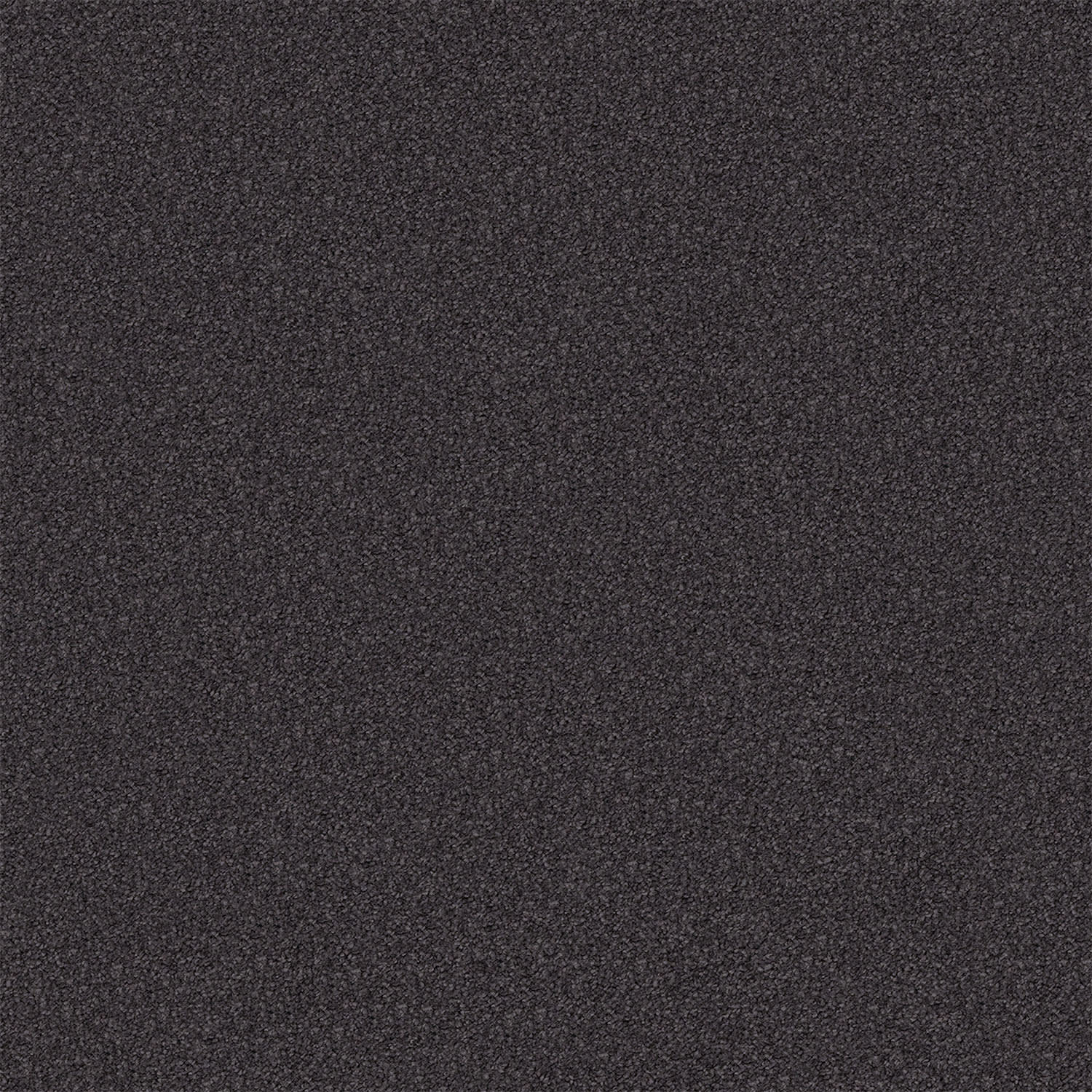 Regal Elegance carpet in Dark Canyon