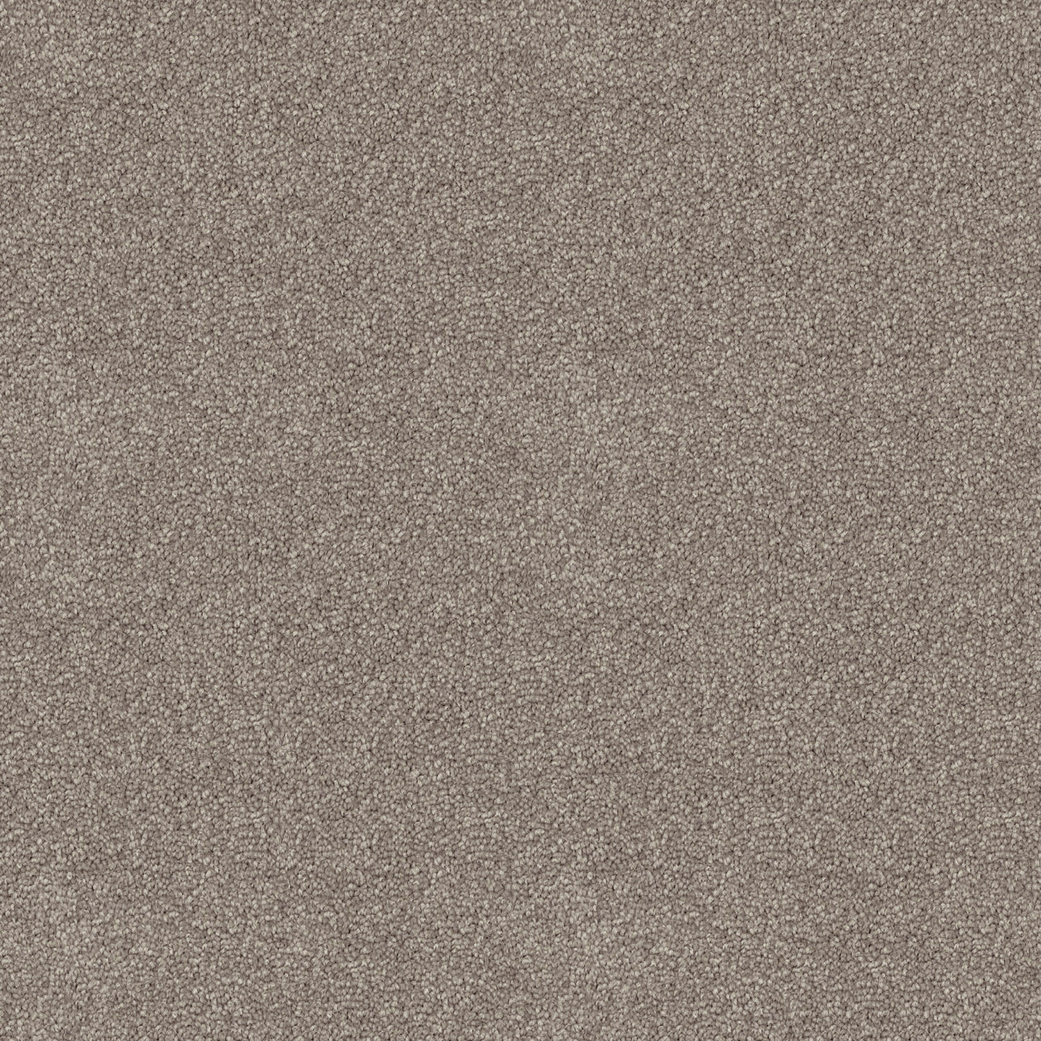 Crestview carpet in Silverstone