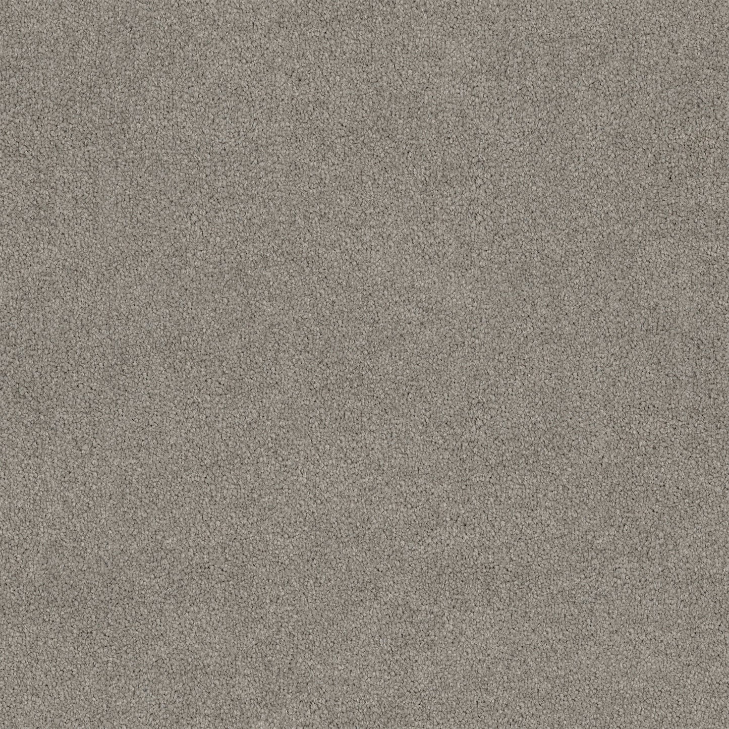 Lasting Touch carpet in Miner