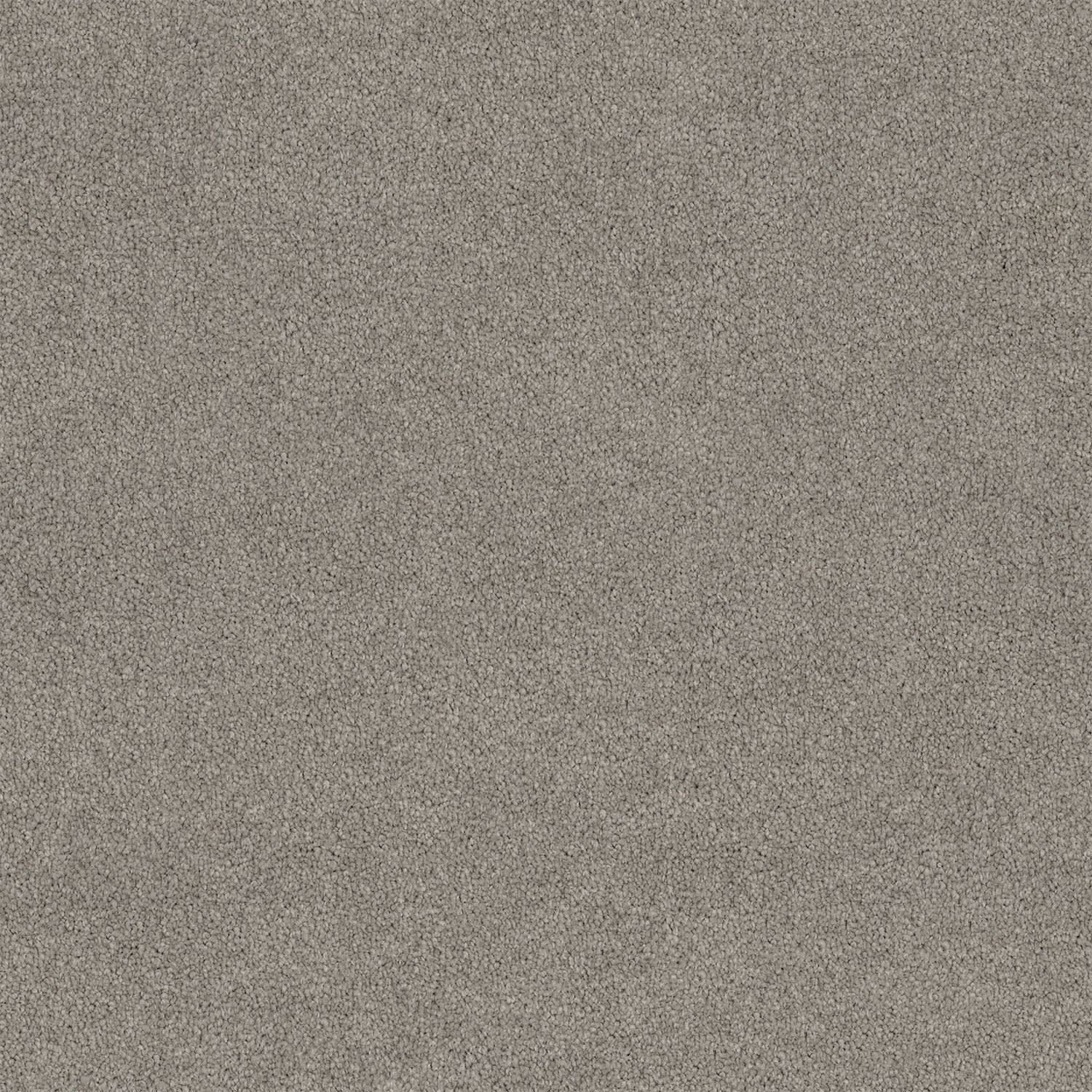 Lasting Touch carpet in Miner