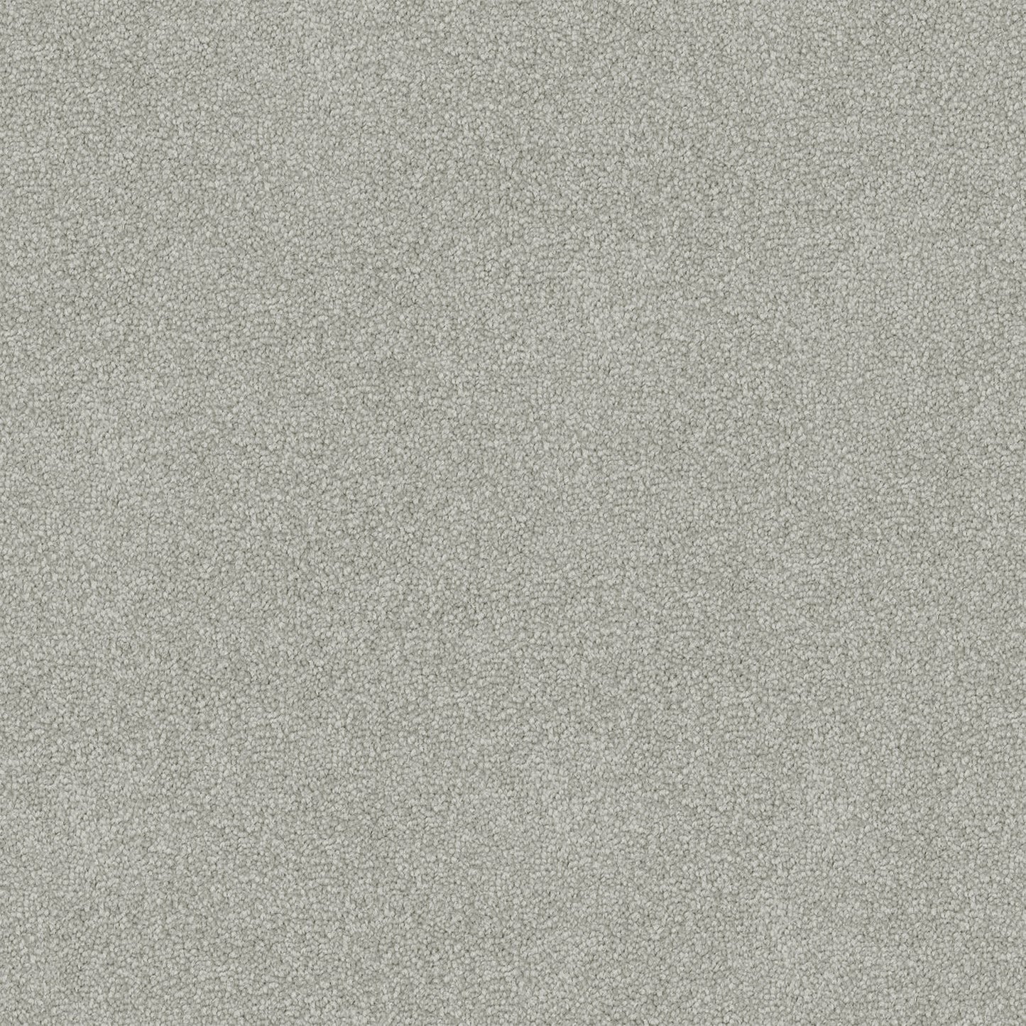 Freedom carpet in Sonic Silver