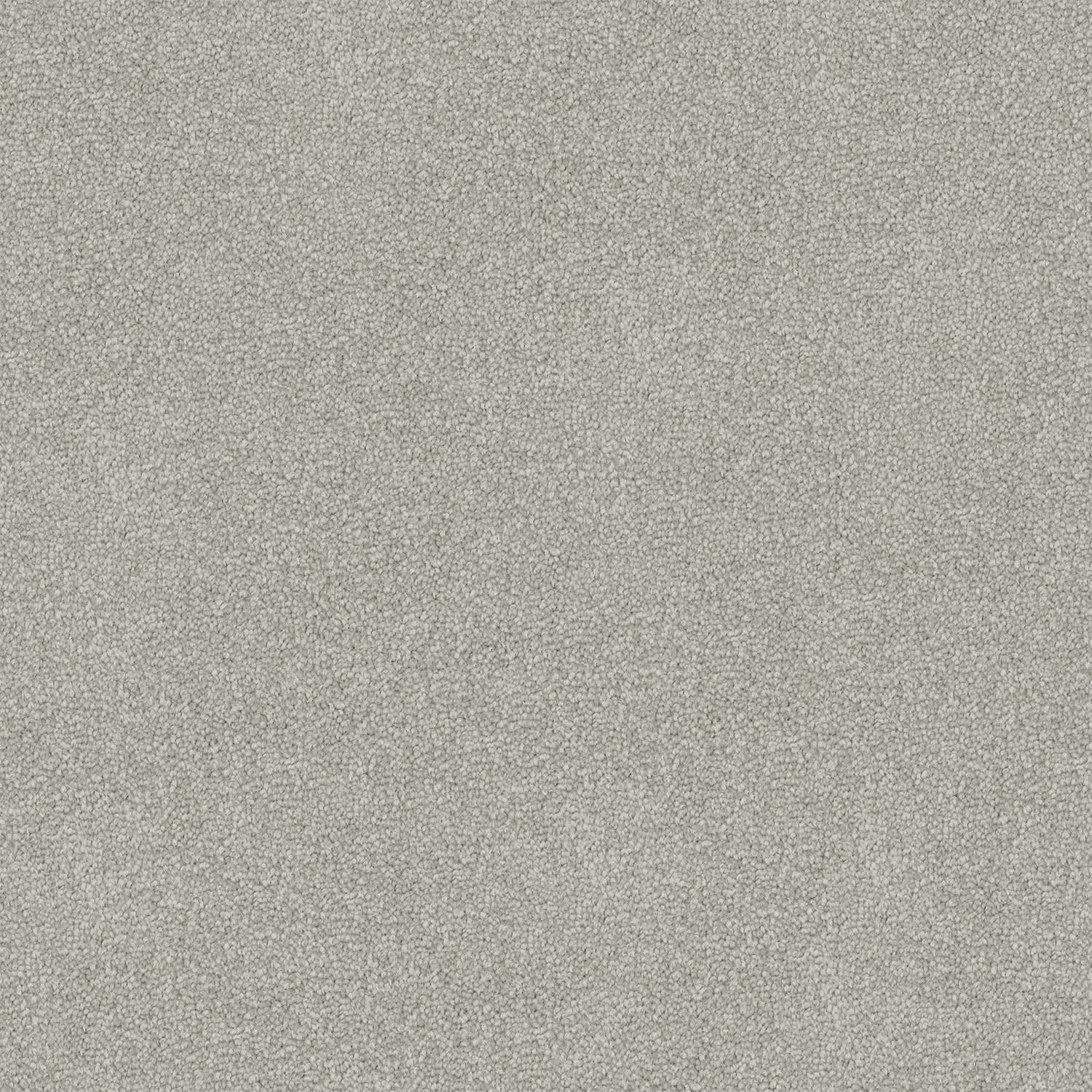 Freedom carpet in Sonic Silver