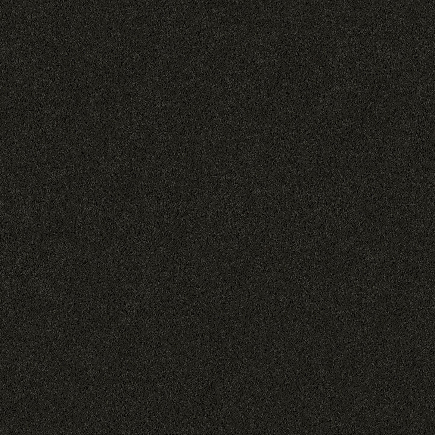 Gentle Essence carpet in Dark Mood