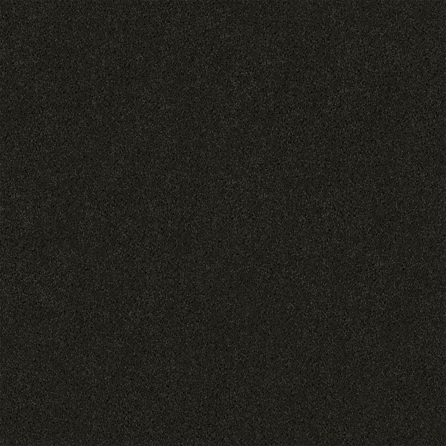 Gentle Essence carpet in Dark Mood