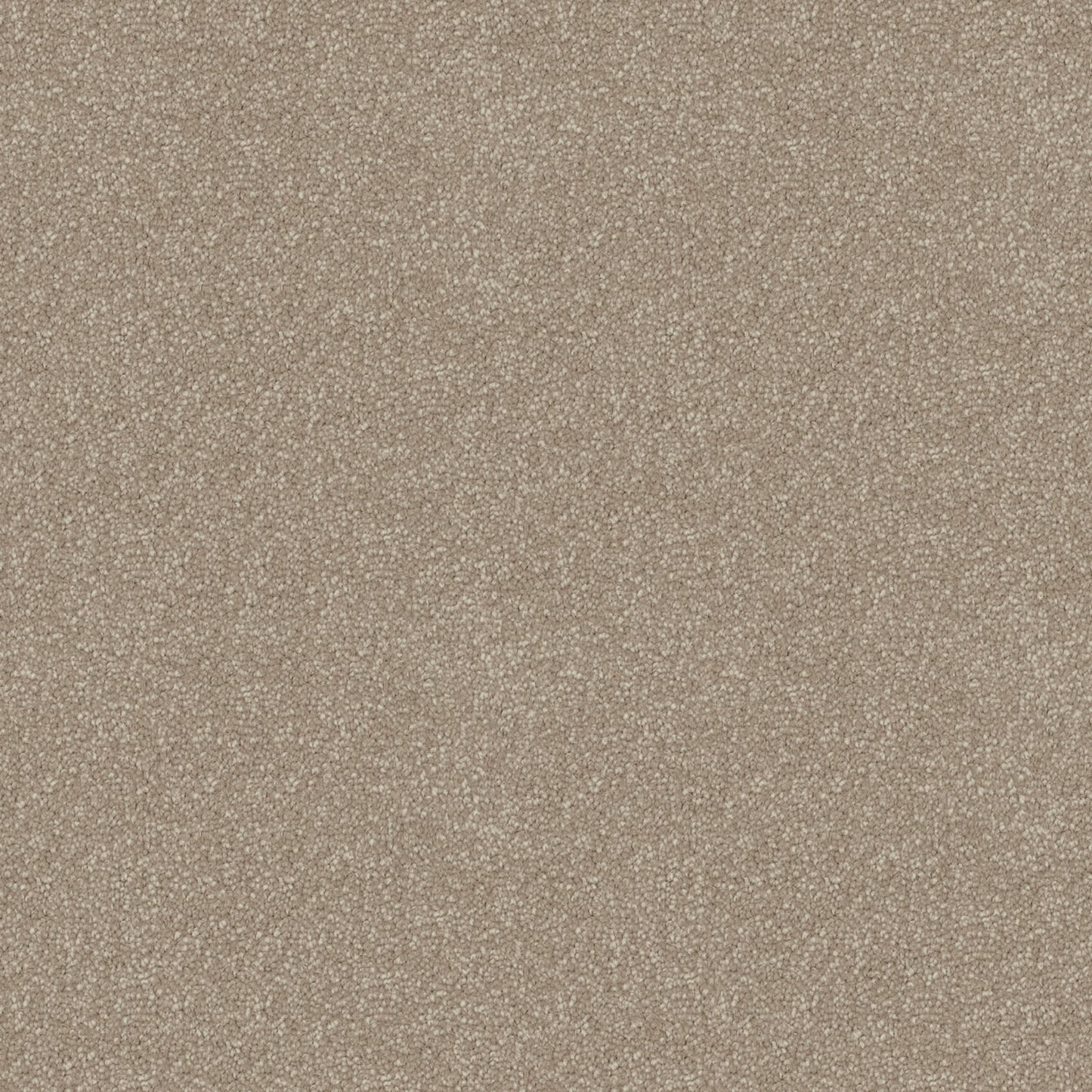 Skyway carpet in Mushroom Stipple