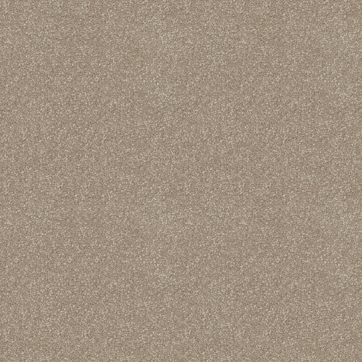 Skyway carpet in Mushroom Stipple